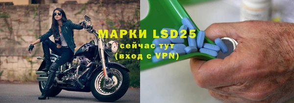 шишки Карпинск