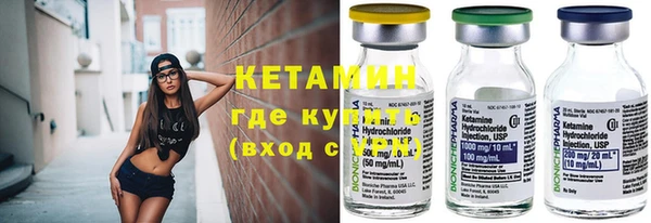 шишки Карпинск