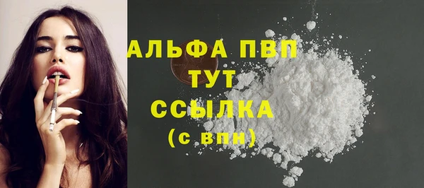 шишки Карпинск