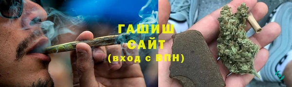 шишки Карпинск