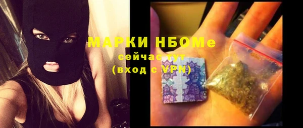 шишки Карпинск