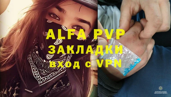 apvp Касимов