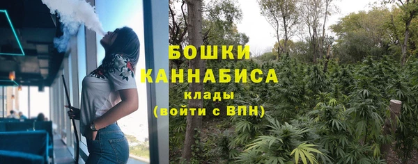 шишки Карпинск