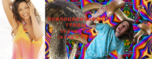 шишки Карпинск