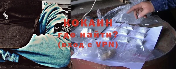 шишки Карпинск