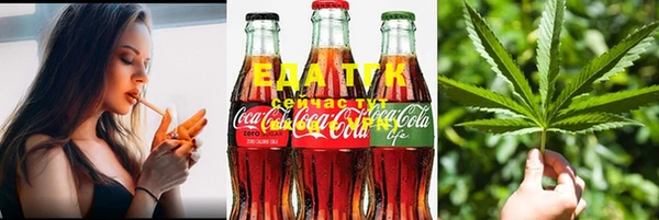 шишки Карпинск