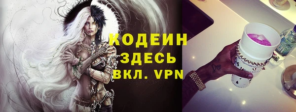 шишки Карпинск